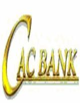      46.50% ..(  CAC BANK )         2008 