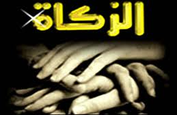 أخرجوا زكاة الزروع تعم البركة لا .. للمبيدات لا .. للهرمونات