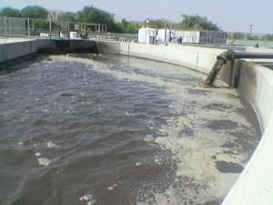تستعمل مياه الصرف الصحي المعالجة في ري المنتزهات